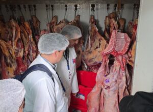 Salud cursó seis sumarios sanitarios tras 85 fiscalizaciones
