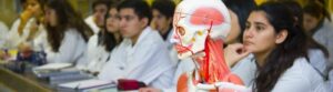 Medicina sigue siendo el programa académico que exige mayor puntaje PAES