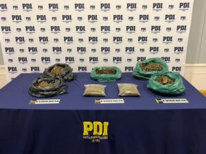 PDI Punta Arenas incauta más de siete kilos de cannabis en Parque Chabunco