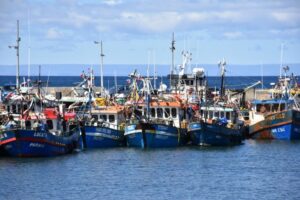 Marea Roja impiden extracción de ostiones en Última Esperanza