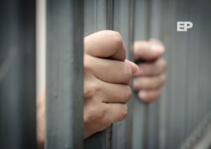 15 años de cárcel para sujeto que abusó de su expareja utilizando animales
