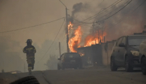 Hay 31 incendios forestales en combate, con cinco sobre 1.000 hectáreas afectadas