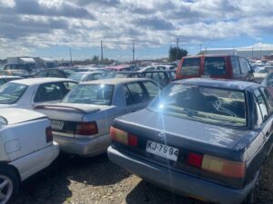 Remate de vehículos abandonados en Punta Arenas quedó invalidado por falta de autorización sanitaria