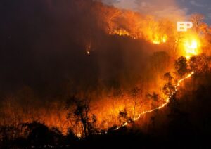 Gobierno decreta Estado de Catástrofe en Biobío y Ñuble por intensos incendios forestales