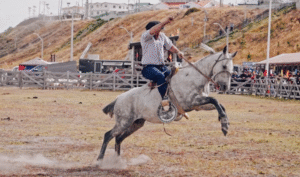 Cerro Sombrero se prepara para la XXVI Fiesta Campesina 