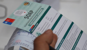 Nueva Era en Seguridad Vial: Todo lo que debes saber sobre la implementación de la 