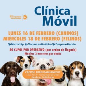 ¡Atención sector sur! Clínica Móvil Veterinaria llega al CECOSF Damianovic este 16 y 18 de febrero
