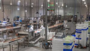 Magallanes: La región con mayor formalidad laboral de Chile al cierre de 2025