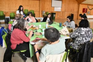 Talleres municipales de verano reúnen a 50 personas con discapacidad en Punta Arenas