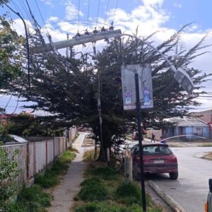 Camión derriba postes y deja a 150 clientes sin suministro eléctrico en Punta Arenas