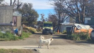 Hombre resulta herido con un hacha en la población Silva Henríquez