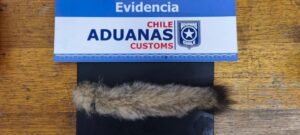 Aduanas frustra ingreso de artículos peligrosos en Paso Dorotea