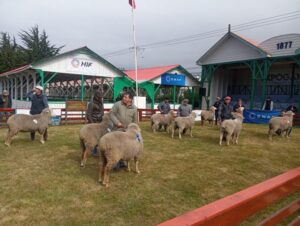 ExpoGama 73: El panorama imperdible del fin de semana con entrada liberada en Punta Arenas