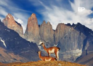 Fedetur ve con optimismo el inicio del Gobierno de Kast y pide consolidar al turismo como