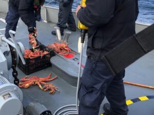Corte Suprema ratifica millonaria multa histórica contra armador por pesca ilegal en Magallanes