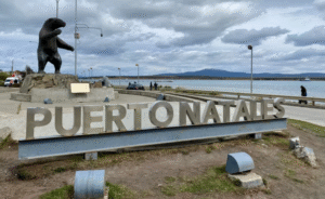 Violento ataque con arma blanca en Natales deja a joven en riesgo vital