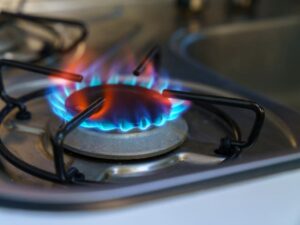 Magallanes reafirma defensa del subsidio al gas