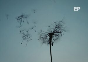 Magallanes enfrentará una semana de inestabilidad climática y ráfagas de viento