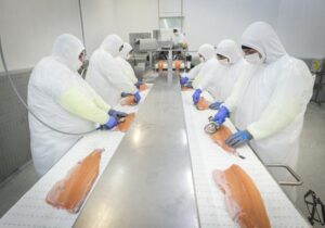 Comisión respalda reglamento previo para definir áreas protegidas en la ley SBAP