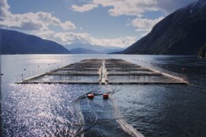 Reactivan revisión de relocalizaciones salmoneras para destrabar concesiones