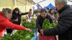 Feria Gourmet cierra temporada con más de 7 mil asistentes