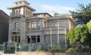 Municipio de Punta Arenas descarta responsabilidad sanitaria en fiscalización de clínicas veterinarias
