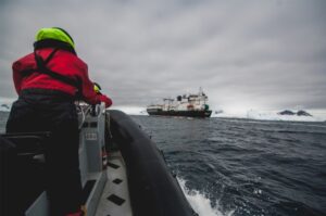 La guerra del krill: cuando el activismo  le declara la guerra a la ciencia
