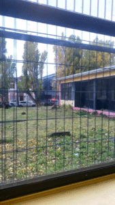 Diez colegios denuncian amenazas de tiroteo y autoridades activan