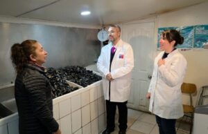 Salud intensifica fiscalización de mariscos en Punta Arenas ante riesgo de Marea Roja