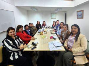 Subcomisión de Femicidios de Magallanes busca oordinación clave para evitar la revictimización