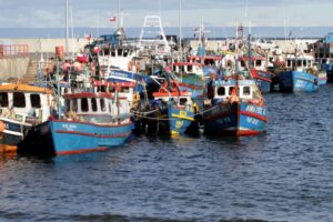 Pesca en Magallanes crece 16% en 2025  impulsada por la salmonicultura