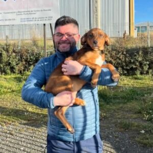 Canela encontró un hogar: emotiva adopción en jornada municipal de Punta Arenas