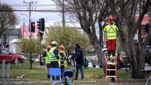 Punta Arenas da inicio a su temporada de podas urbanas