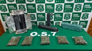 Golpe al narcotráfico en Punta Arenas: Incautan cerca de 2 kilos de marihuana enviada por encomienda