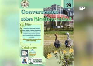Punta Arenas invita a jornada gratuita sobre biodiversidad y protección de ecosistemas regionales