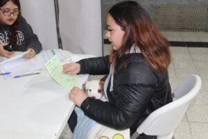 Perritos recibieron atención gratuita en masivo operativo municipal de Punta Arenas