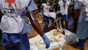Brote de ébola en África deja 137 muertos y 546 contagios