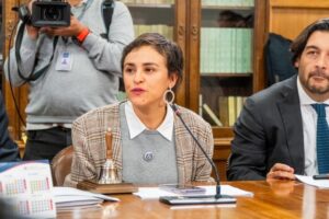 Diputada Morales denuncia recorte que afecta acceso a especialistas en Puerto Williams
