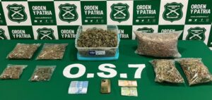 Ministerio Público apela arresto domiciliario de imputado que mantenía más de dos kilos de marihuana y cultivo indoor en Punta Arenas