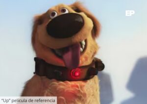 IA en mascotas: Empresa china lanza collar que traduce ladridos y maullidos a lenguaje humano