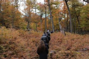 Parque Karukinka abre convocatoria para nuevo programa de voluntariado en Tierra del Fuego