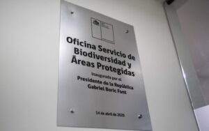 Postergan traspaso de Conaf a nuevo organismo y culpan gestión de Boric