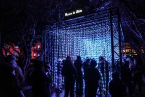 Patagonia Light Festival rompe récords con más de 60 mil asistentes en apenas cinco noches