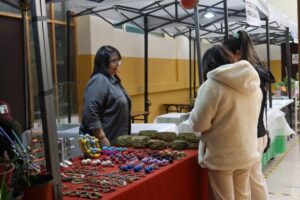 Artesanía, comida y plantas medicinales se pueden encontrar en feria indígena en el Insuco