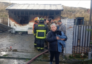 Incendio destruyó peluquería canina Don Beto en Punta Arenas