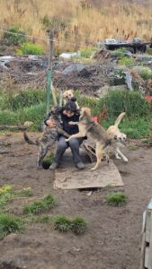 Agrupación VIDA lidera campaña para rescatar a decenas de perros y apoyar a vecino de 55 años en Magallanes