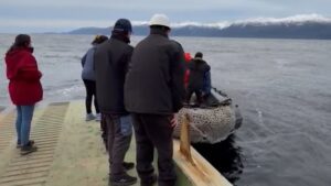 Equipo médico de Puerto Williams salva vida de hombre en Ferry Kaweskar