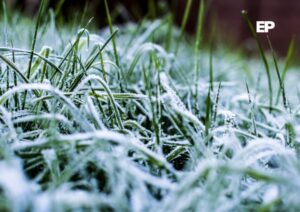 Declaran Alerta Temprana Preventiva por heladas en Magallanes: temperaturas podrían llegar hasta los -9 °C