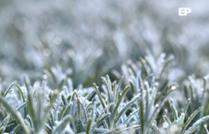 Senapred declara Alerta Temprana para toda la región por bajas temperaturas