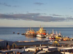 Ocupación en Magallanes crece 2% pese a menor dinamismo económico